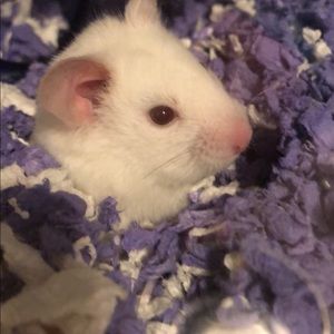 Meet your Posher, Megan